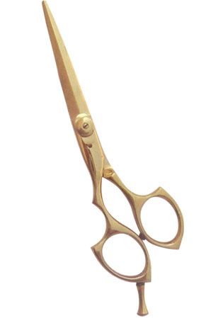 Professional Hair Cutting Scissors 